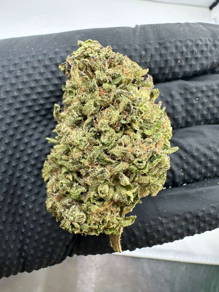 Grape god 18% thc hybrid