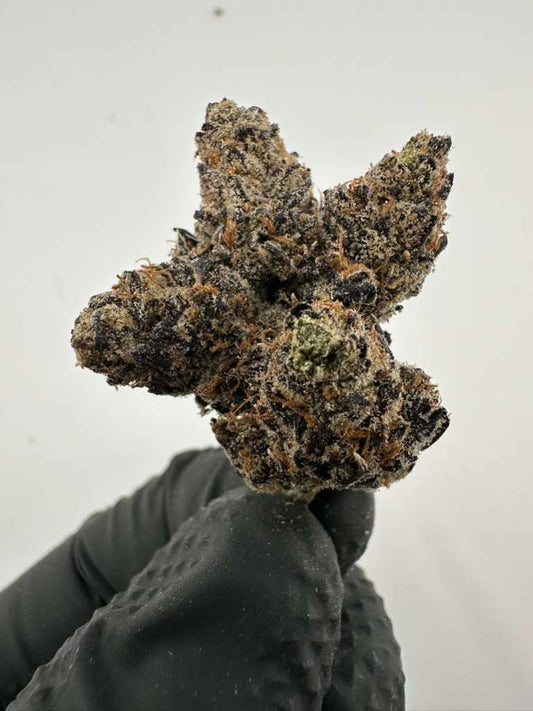 Lemon cherry gelato 29% thc hybrid